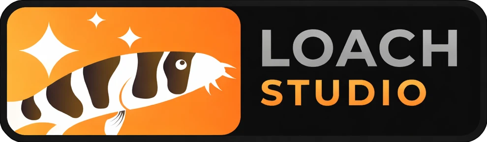 Loach Studio Account